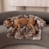 Cozy Dog Sofa Bed | Washable Plush Pet Bed