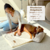 Cooling Dog Sofa Bed | Self-Cooling Washable Pet Bed