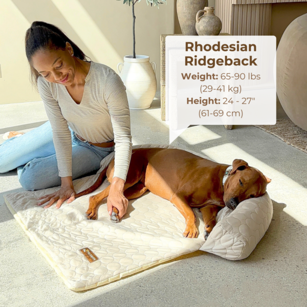 Cooling Dog Sofa Bed | Self-Cooling Washable Pet Bed
