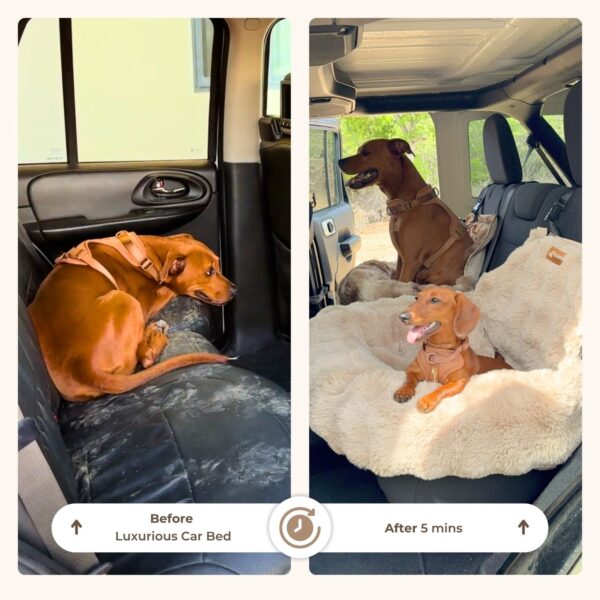 Luxury Dog Car Bed | Washable Travel Car Seat Bed for Dogs