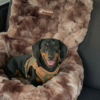 Luxury Dog Car Bed | Washable Travel Car Seat Bed for Dogs