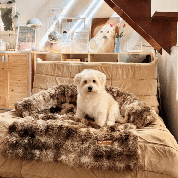 Cozy Dog Sofa Bed | Washable Plush Pet Bed