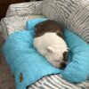 Cooling Dog Sofa Bed | Self-Cooling Washable Pet Bed