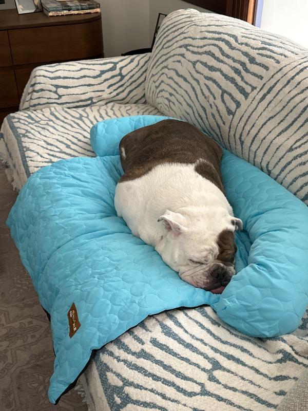 Cooling Dog Sofa Bed | Self-Cooling Washable Pet Bed