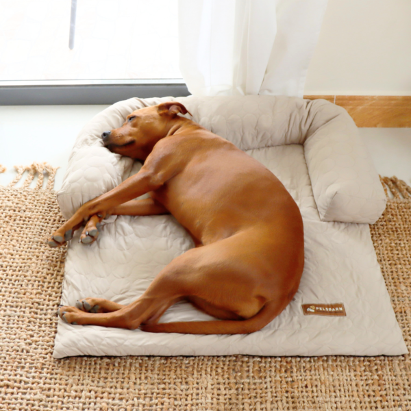 Cooling Dog Sofa Bed | Self-Cooling Washable Pet Bed
