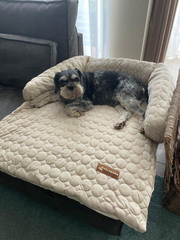 Cooling Dog Sofa Bed | Self-Cooling Washable Pet Bed
