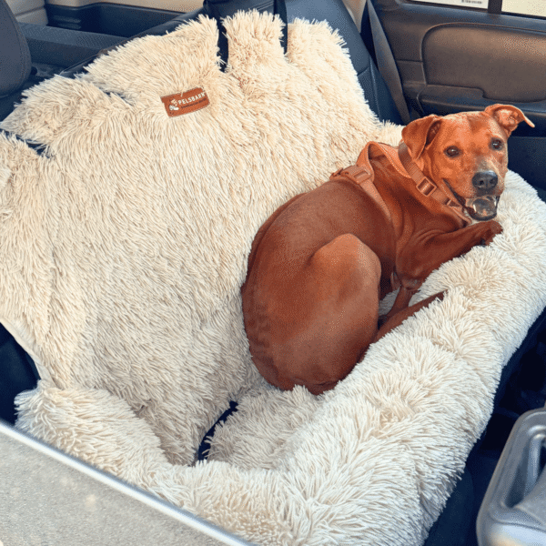 Protecting Dog Car Bed 2.0 | Washable Travel Car Seat Bed for Dogs