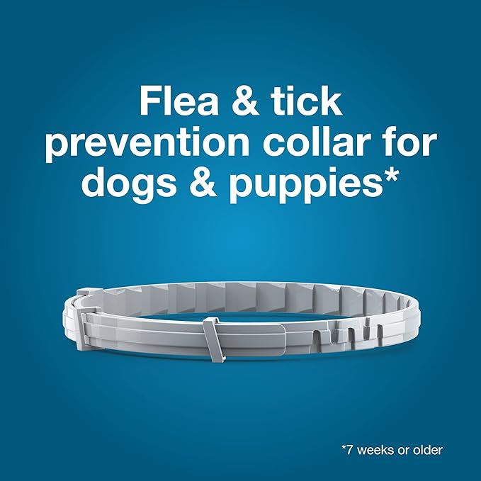 61YGRWPMpzL._AC_SX679_-1.jpg Seresto Flea & Tick Prevention Collar for Large Dogs | 8-Month Protection | Vet-Recommended