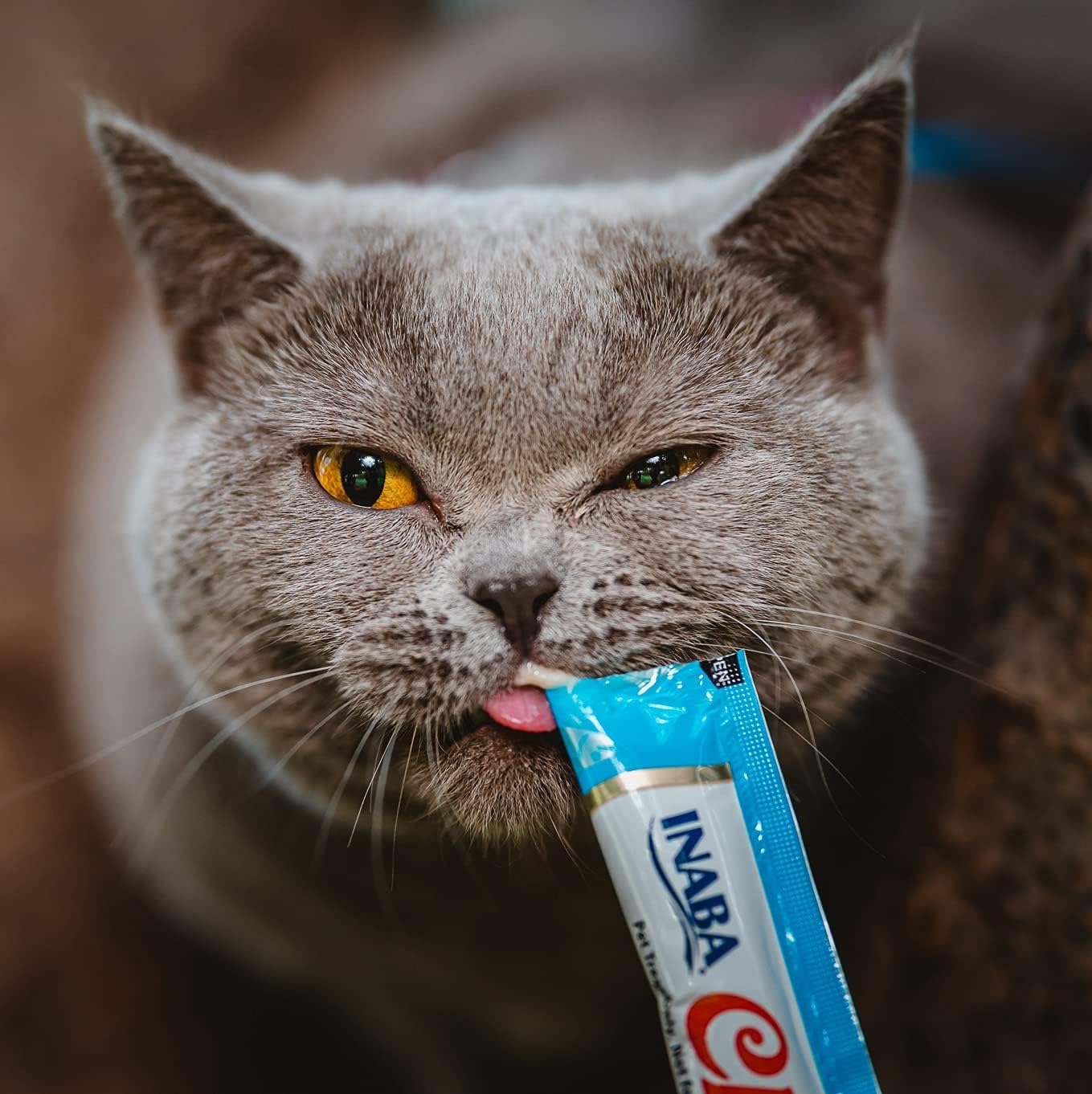 INABA Churu Grain-Free Lickable Cat Treats | Creamy Purée Cat Treats with Farm-Raised Chicken & Wild Tuna | High-Moisture Squeezable Treats