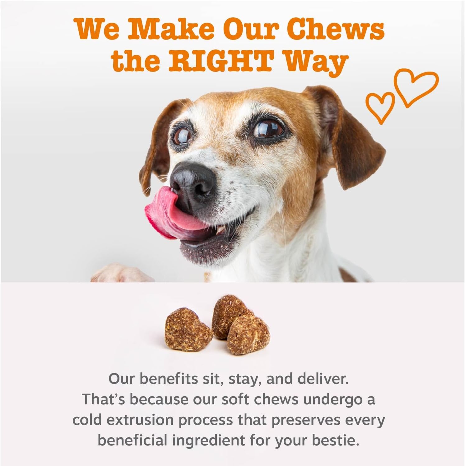 Zesty Paws Multivitamin Soft Chews for Dogs | Daily 8-in-1 Nutritional Supplement | Chicken Flavor