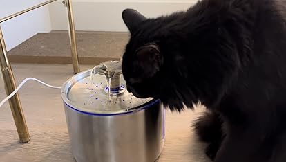 Stainless Steel Cat Water Fountain | 74 oz (2.2L) Automatic Pet Water Fountain with 6 Filters & 6 Pump Sponges | Ultra-Quiet Water Dispenser for Cats & Small Dogs