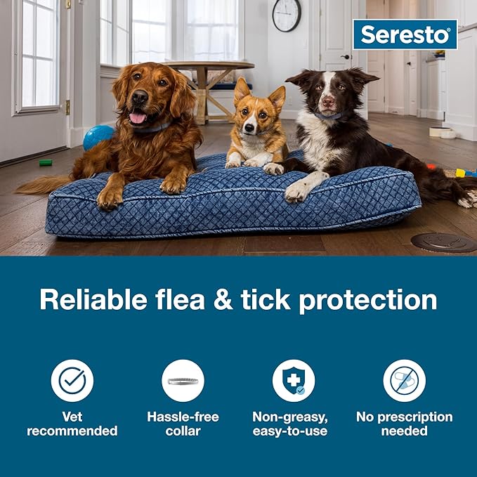 81M6qIHZJ-L._AC_SX679_-1.jpg Seresto Flea & Tick Prevention Collar for Large Dogs | 8-Month Protection | Vet-Recommended