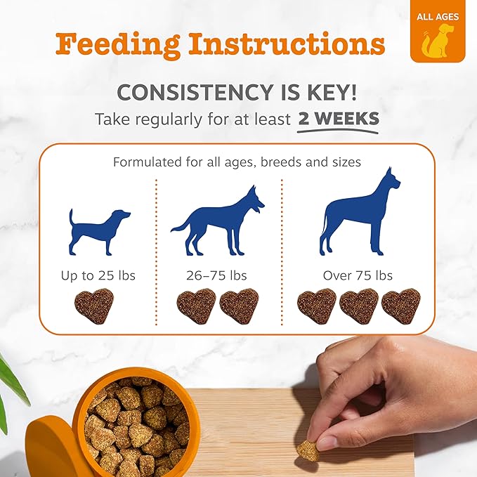 Zesty Paws Multivitamin Soft Chews for Dogs | Daily 8-in-1 Nutritional Supplement | Chicken Flavor
