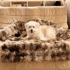 Cozy Dog Sofa Bed | Washable Plush Pet Bed