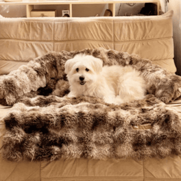 Cozy Dog Sofa Bed | Washable Plush Pet Bed