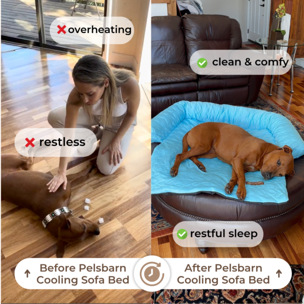 Cooling Dog Sofa Bed | Self-Cooling Washable Pet Bed
