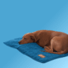 Cooling Dog Sofa Bed | Self-Cooling Washable Pet Bed