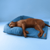 Cooling Dog Sofa Bed | Self-Cooling Washable Pet Bed