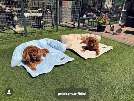 Cooling Dog Sofa Bed | Self-Cooling Washable Pet Bed