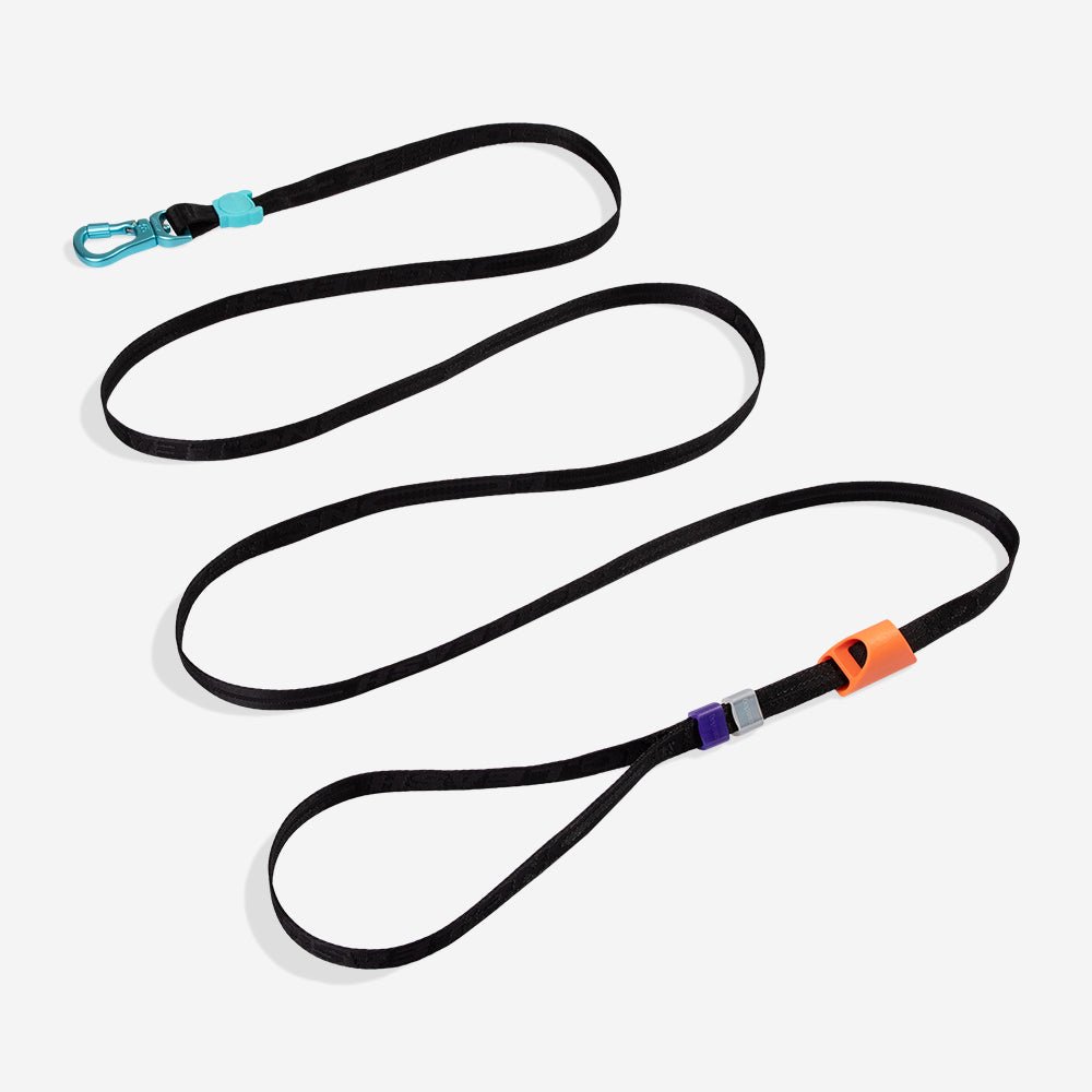 Segundo-longleash-main-1.jpg Segundo | Long Leash 2.0