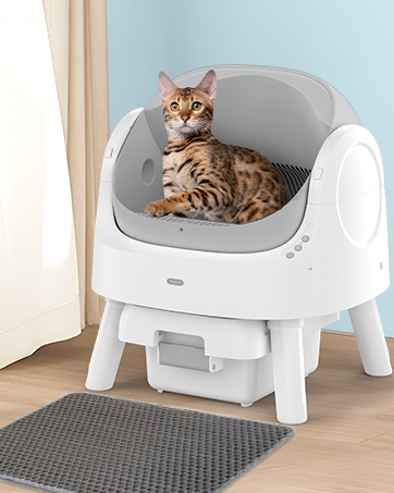 Automatic Self-Cleaning Cat Litter Box for Multiple Cats | Open-Top Design with Integrated Safety Protection & Ultra-Quiet Operation