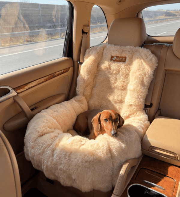 Luxury Dog Car Bed | Washable Travel Car Seat Bed for Dogs