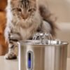 Stainless Steel Cat Water Fountain | 74 oz (2.2L) Automatic Pet Water Fountain with 6 Filters & 6 Pump Sponges | Ultra-Quiet Water Dispenser for Cats & Small Dogs