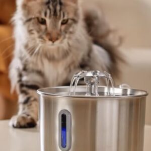Stainless Steel Cat Water Fountain | 74 oz (2.2L) Automatic Pet Water Fountain with 6 Filters & 6 Pump Sponges | Ultra-Quiet Water Dispenser for Cats & Small Dogs